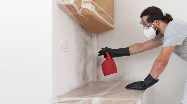 Professional Crawl Space Mold Removal technician working in Roanoke, IL