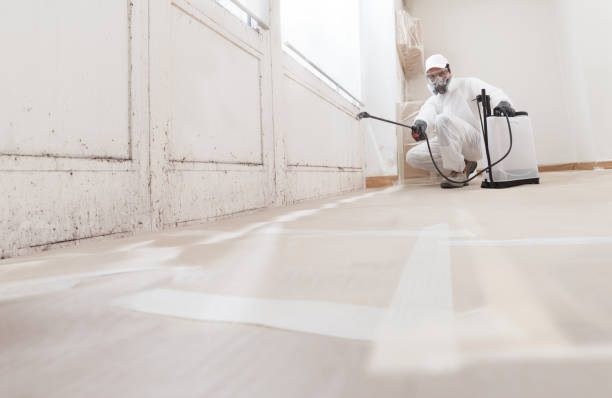 Trusted Crawl Space Mold Removal service in Roanoke, IL - WQB Mold Removal