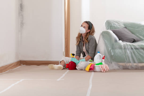 Reliable Crawl Space Mold Removal contractor in Roanoke, IL by WQB Mold Removal